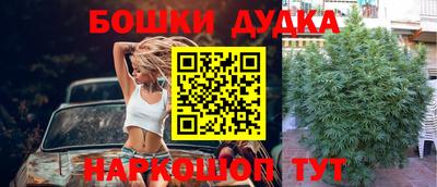 стафф Бугуруслан