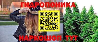 спиды Бузулук