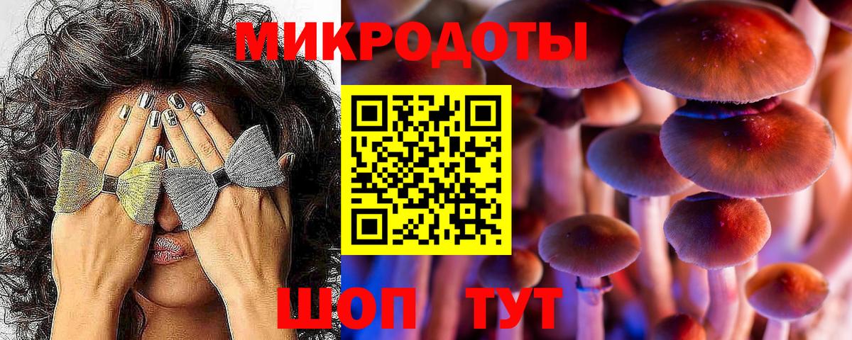 Псилоцибиновые грибы мицелий  Галлюциногенные грибы Cubensis  купить  цена  Вход с VPN  Фурманов 